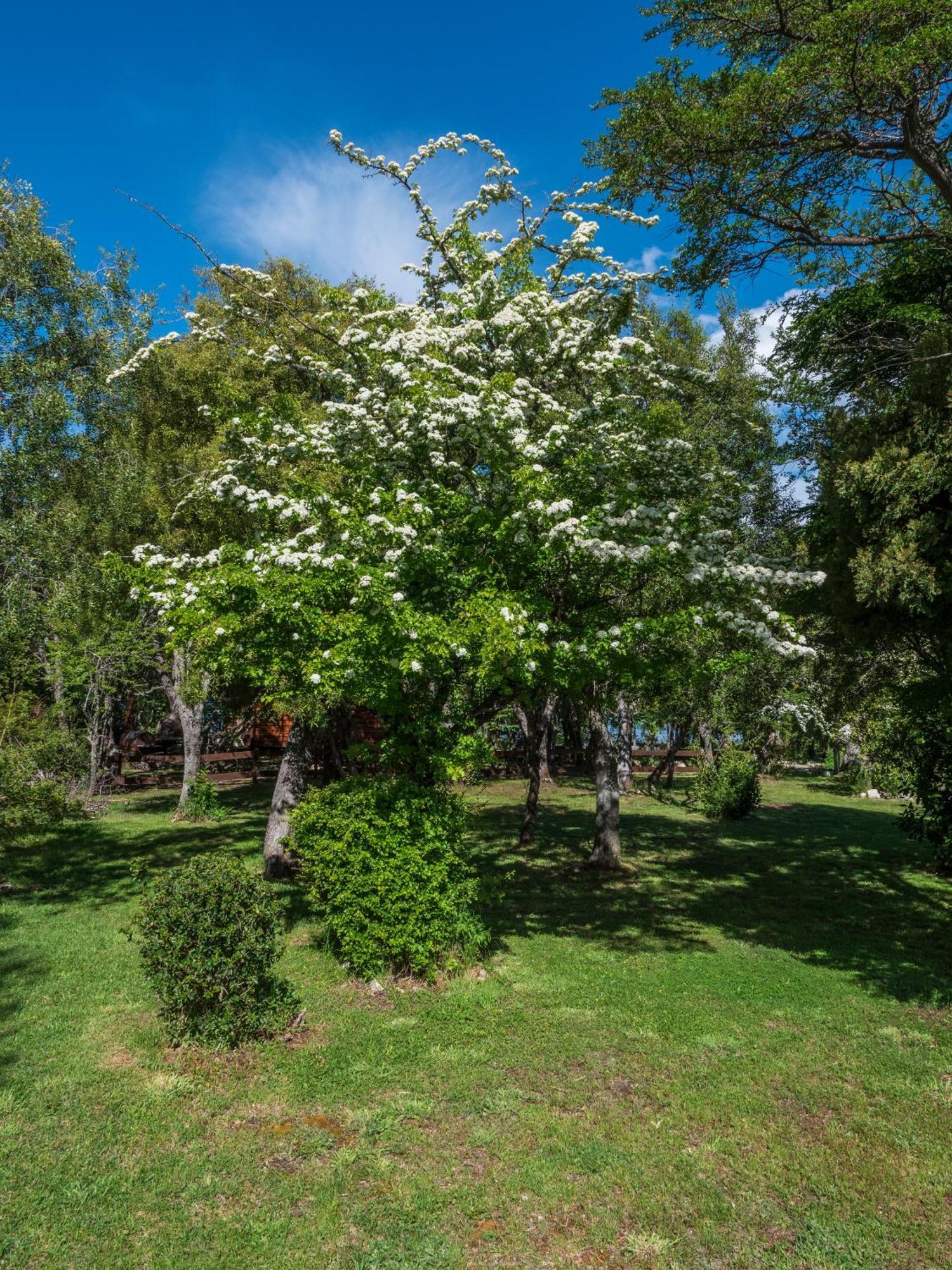 La Huala Villa San Carlos de Bariloche Kültér fotó